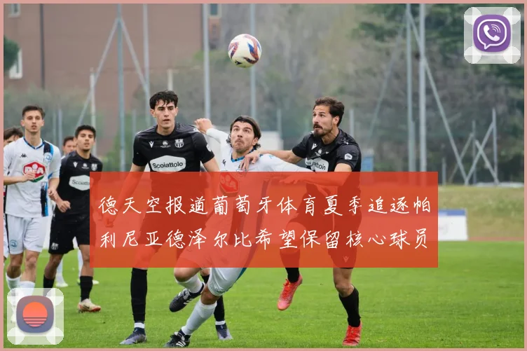 德天空报道葡萄牙体育夏季追逐帕利尼亚德泽尔比希望保留核心球员