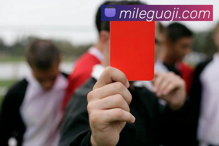 米乐国际服务体系